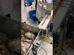 Yer fıstığı ve hindistancevizi kaplama üretim hattı ile tarih çubuğu