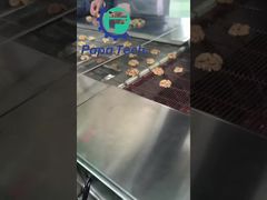 Çikolata kaplı ceviz